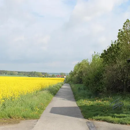 Sommerglueck In *